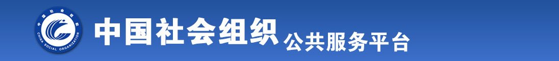 日骚逼影视全国社会组织信息查询